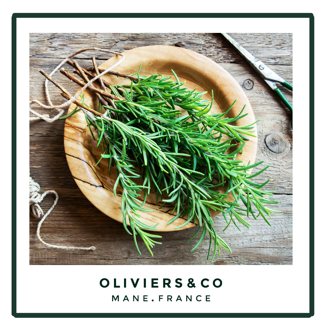 Rosemary: history, benefits & virtues